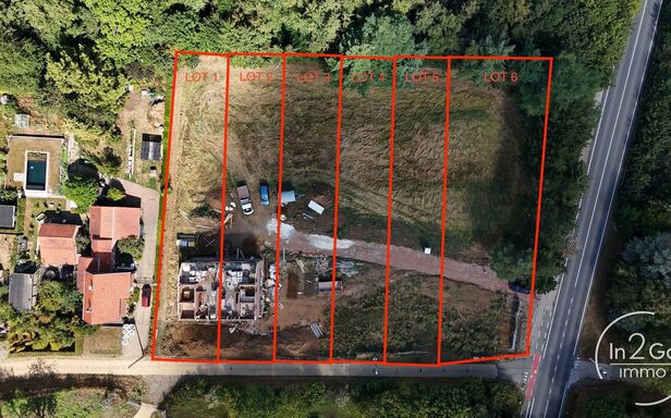 Nieuwbouwproject - Tielt-Winge in Tielt-Winge