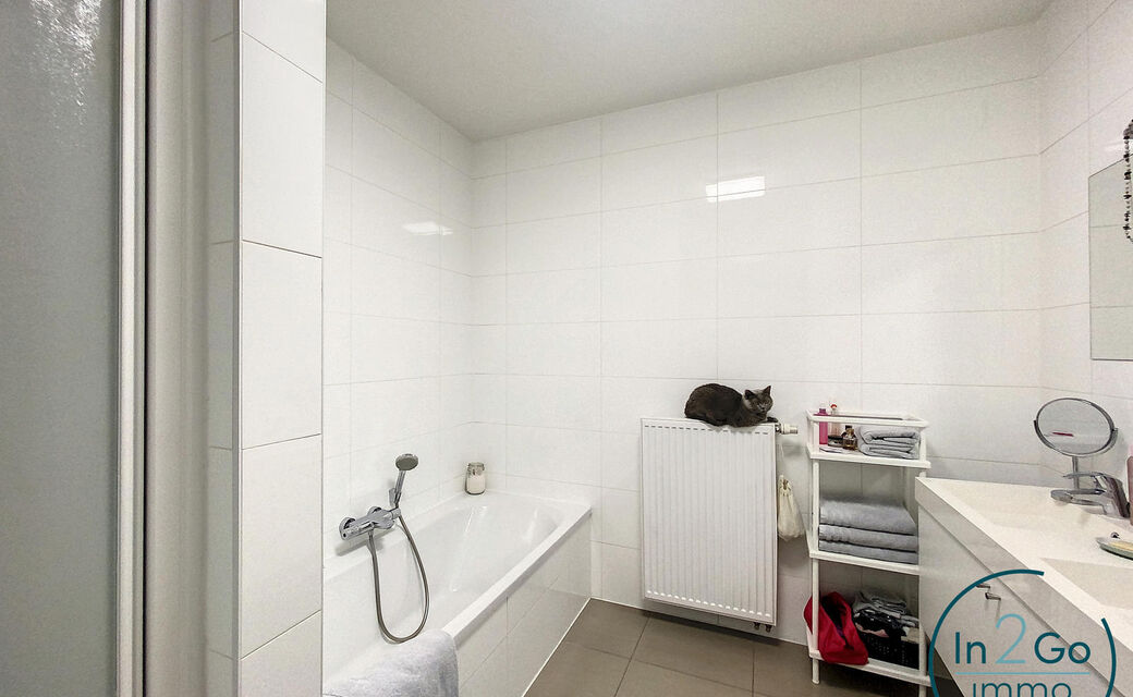 Appartement te huur in Hasselt