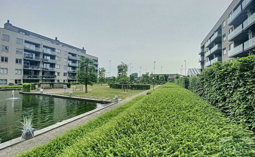 Appartement te huur in Hasselt