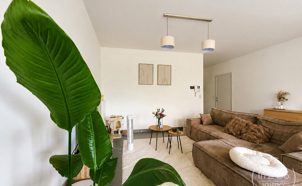 Appartement te huur in Hasselt