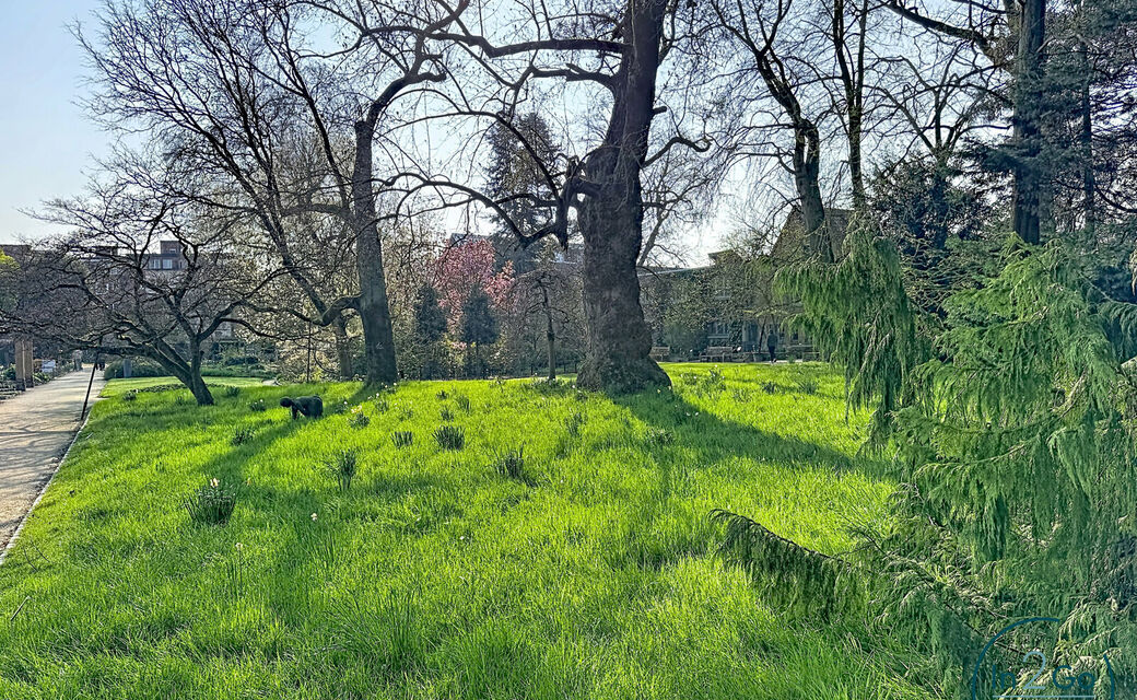 Appartement te koop in Leuven