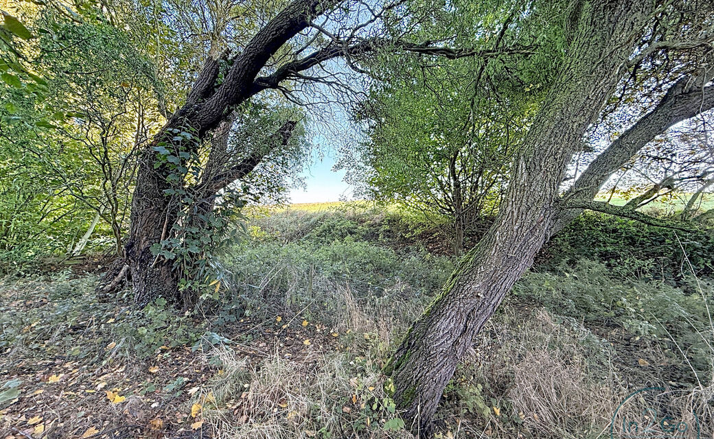 Bouwgrond te koop in Heverlee