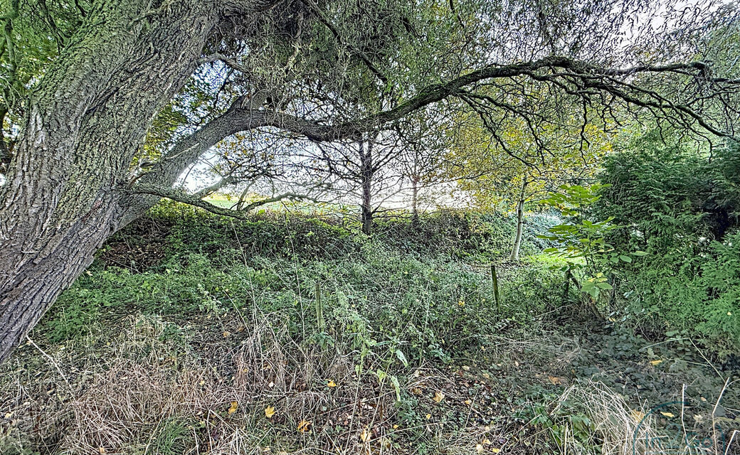 Bouwgrond te koop in Heverlee