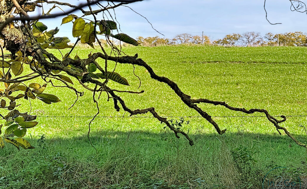 Bouwgrond te koop in Heverlee