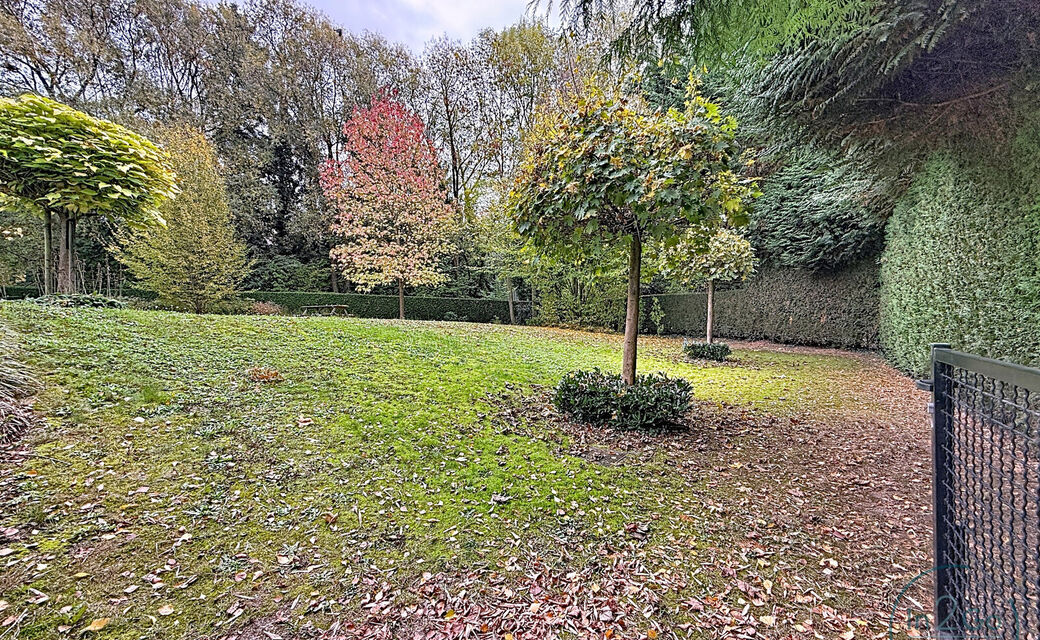 Duplex te koop in Leuven