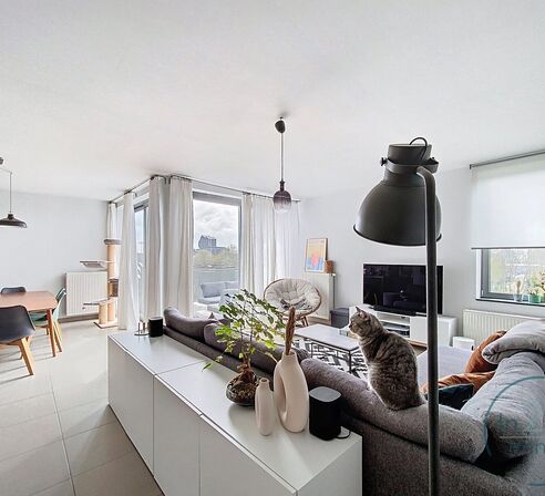 Appartement te huur in Hasselt