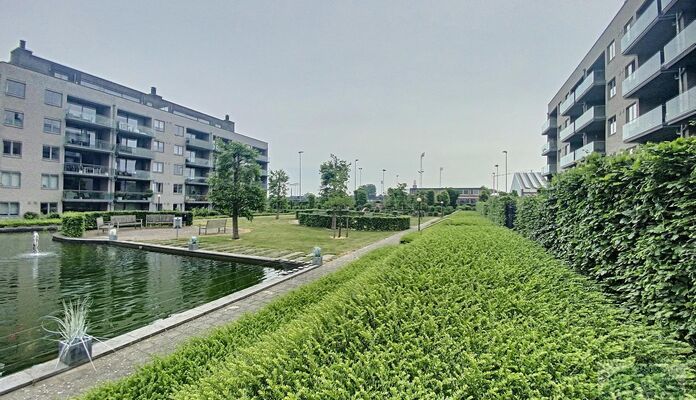 Appartement te huur in Hasselt