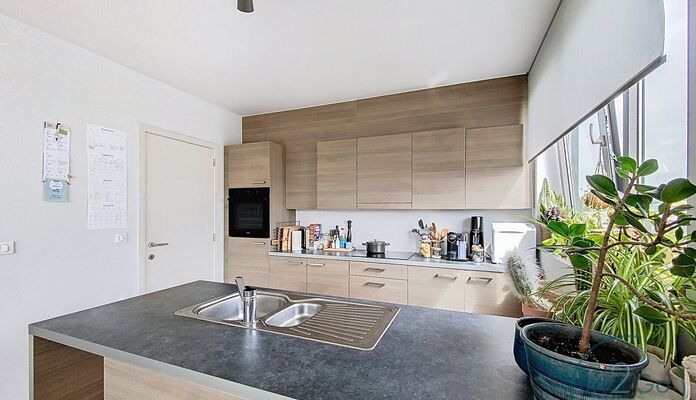 Appartement te huur in Hasselt