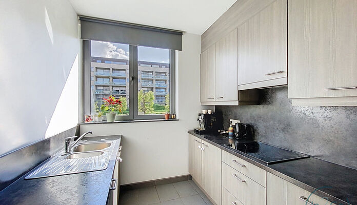 Appartement te huur in Hasselt