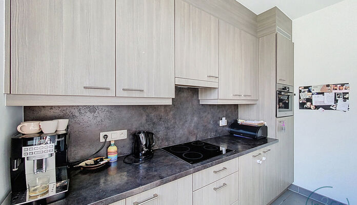 Appartement te huur in Hasselt