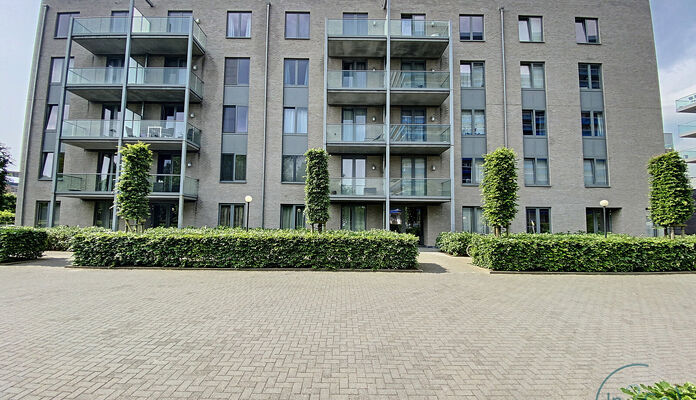 Appartement te huur in Hasselt