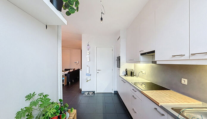 Appartement te huur in Hasselt