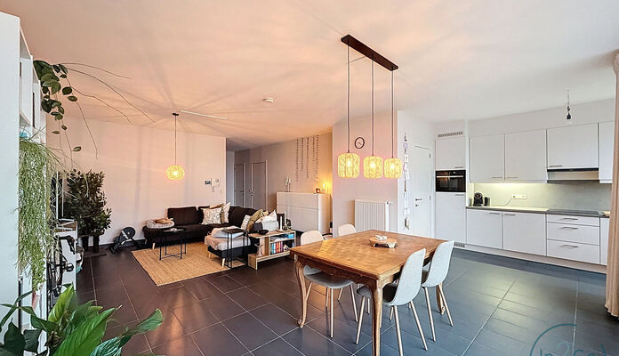 Appartement te huur in Hasselt