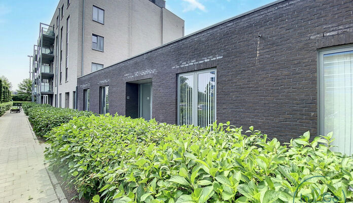 Appartement te huur in Hasselt