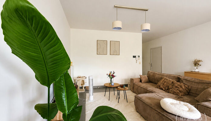Appartement te huur in Hasselt