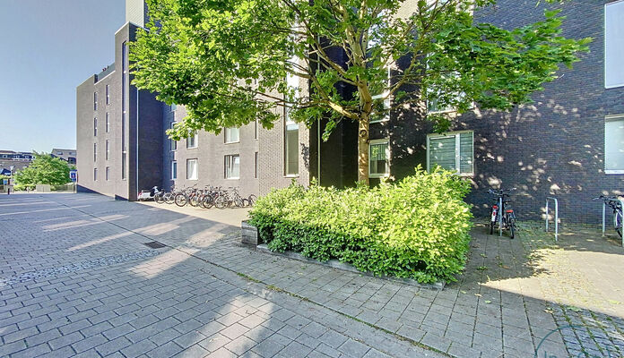 Appartement te huur in Leuven