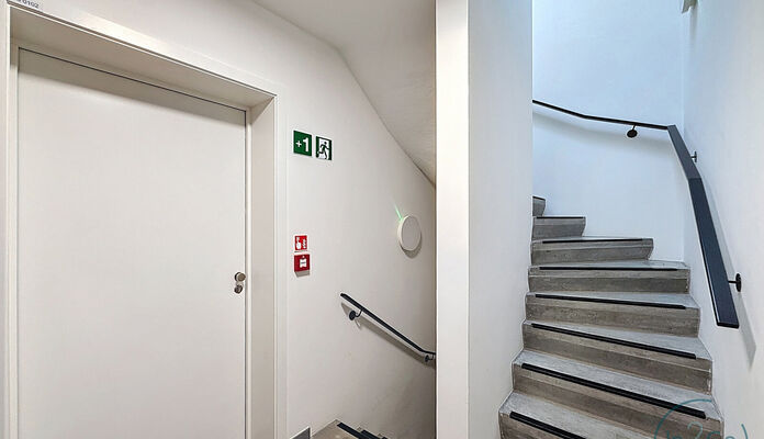 Appartement te huur in Leuven