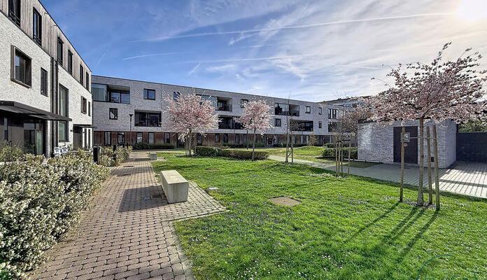 Appartement te huur in Leuven