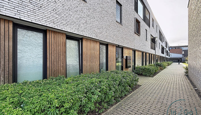 Appartement te huur in Leuven