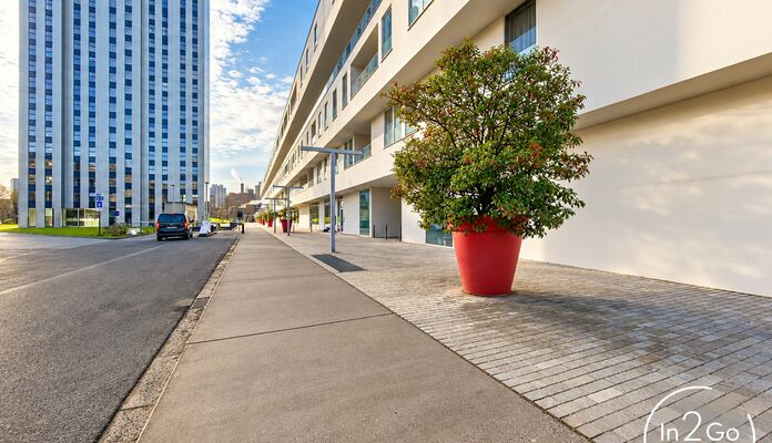 Appartement te huur in Leuven