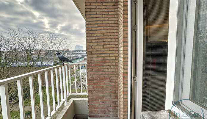 Appartement te koop in Leuven