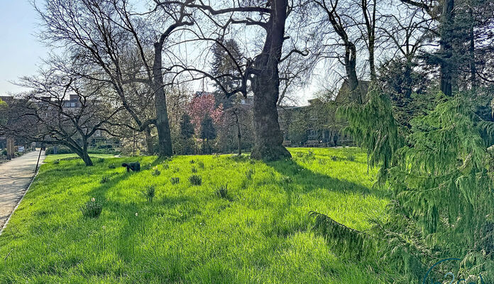 Appartement te koop in Leuven