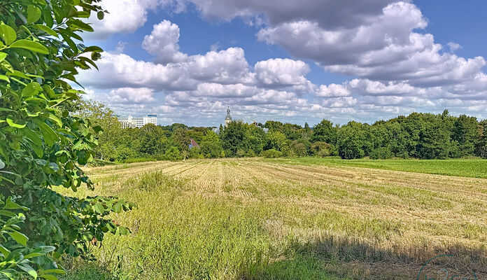 Bouwgrond te koop in Heverlee