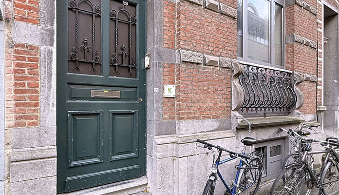 Buitengewoon huis te koop in Leuven