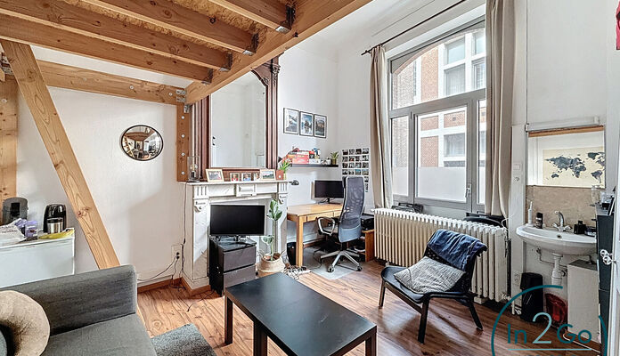 Buitengewoon huis te koop in Leuven