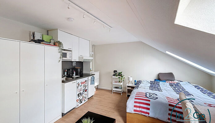 Buitengewoon huis te koop in Leuven