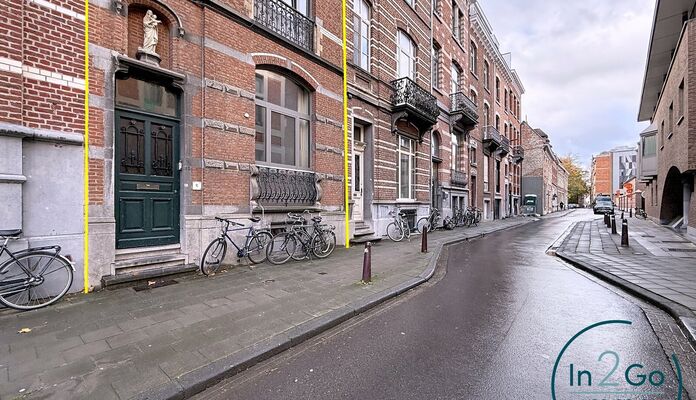 Buitengewoon huis te koop in Leuven