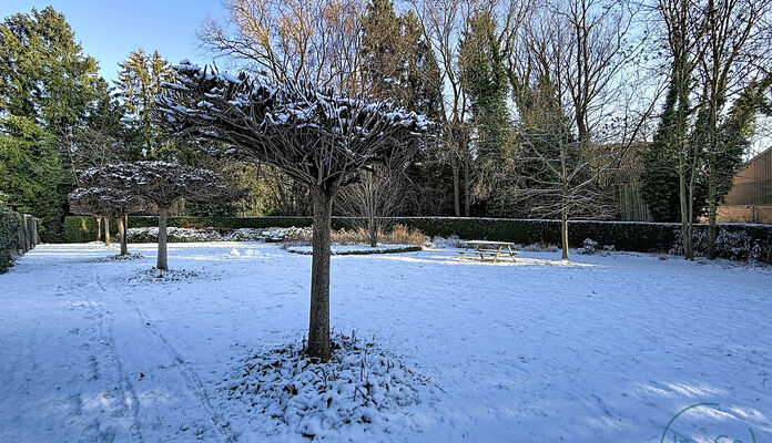 Duplex te koop in Leuven