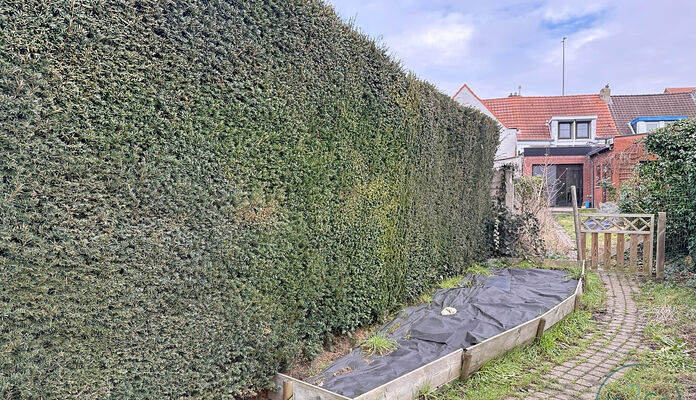 Eengezinswoning te huur in Leuven